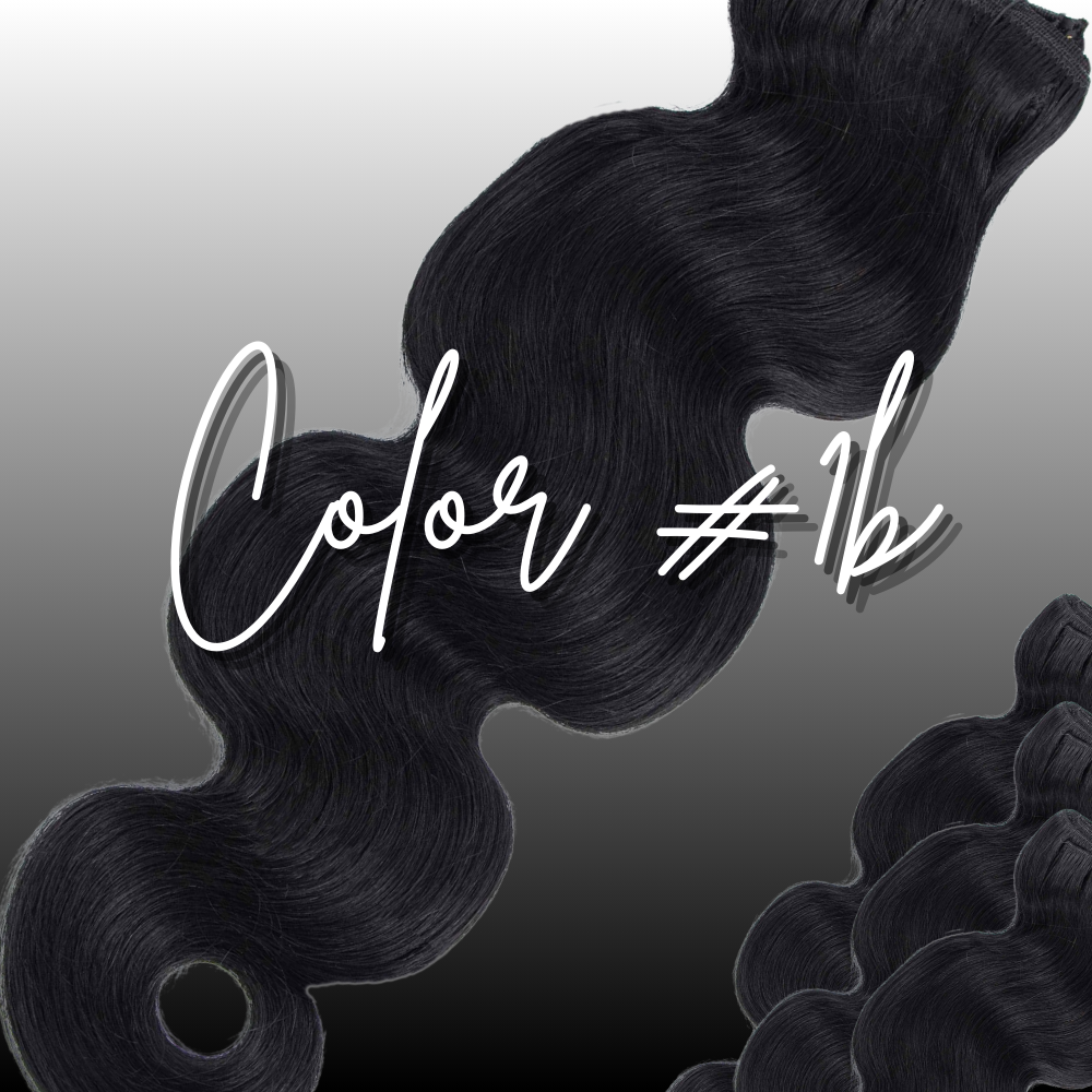 1b Color